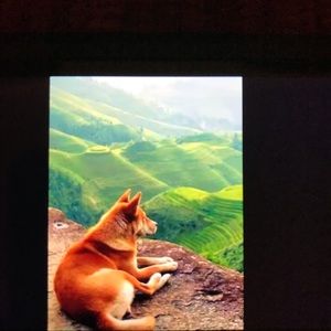 Meet your Posher, Reva